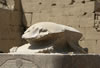 Scarabee bij de tempel van Luxor